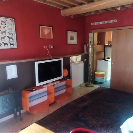 Apartament Loft 70 Montescudaio Zewnętrze zdjęcie